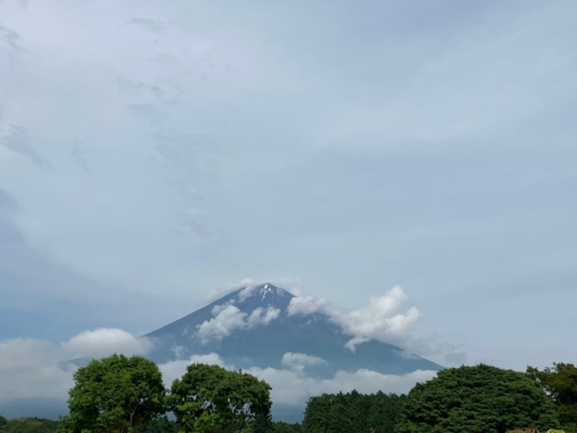 ちょっと遠出してきました