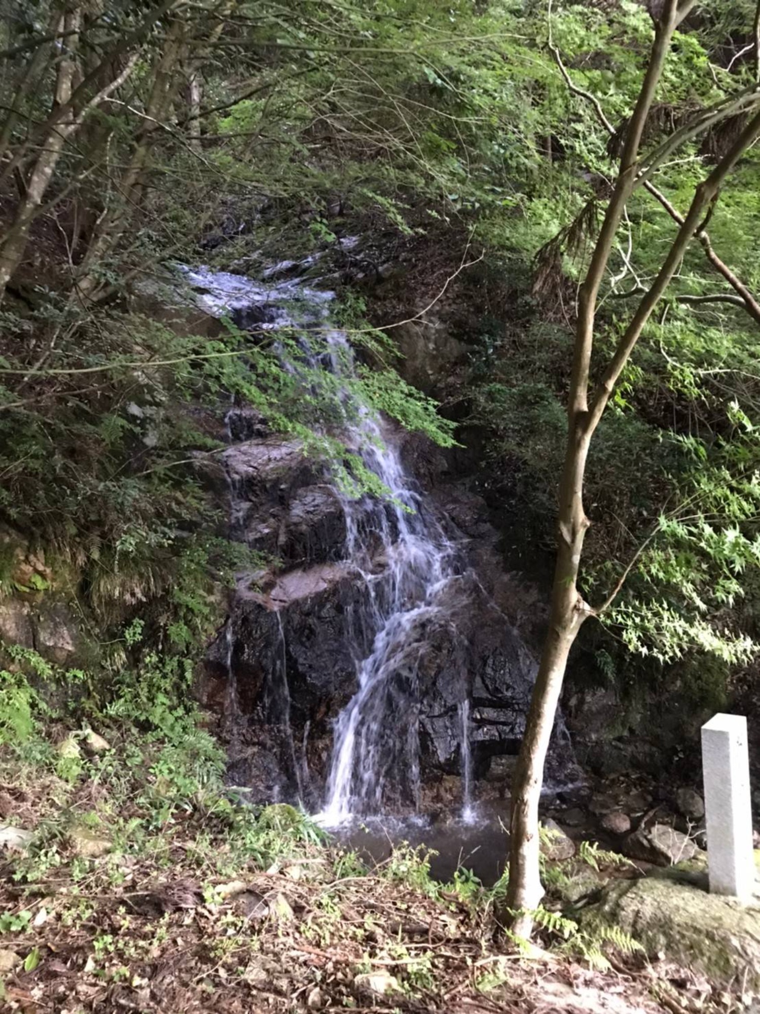 家族で初登山