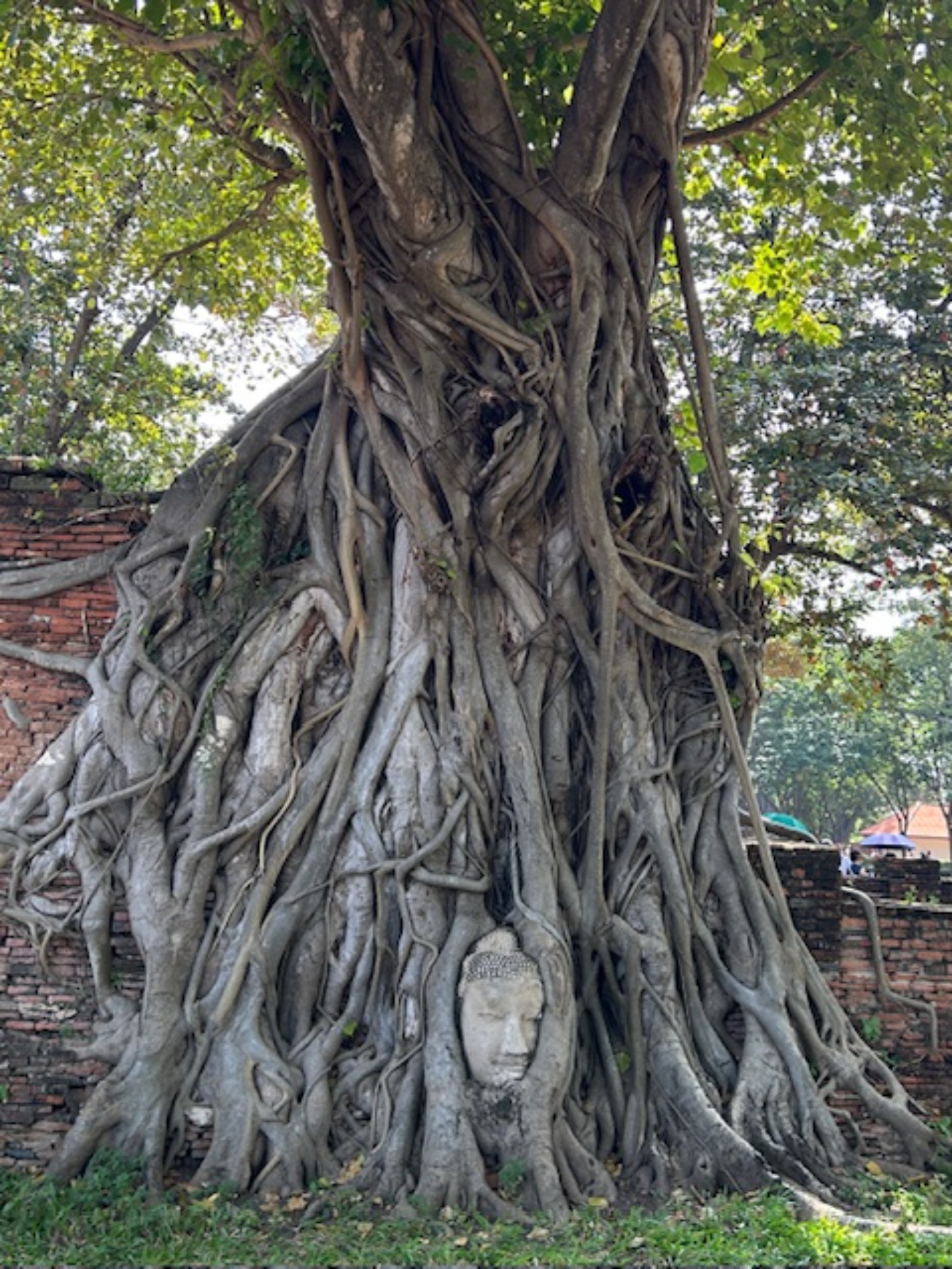 タイ旅行