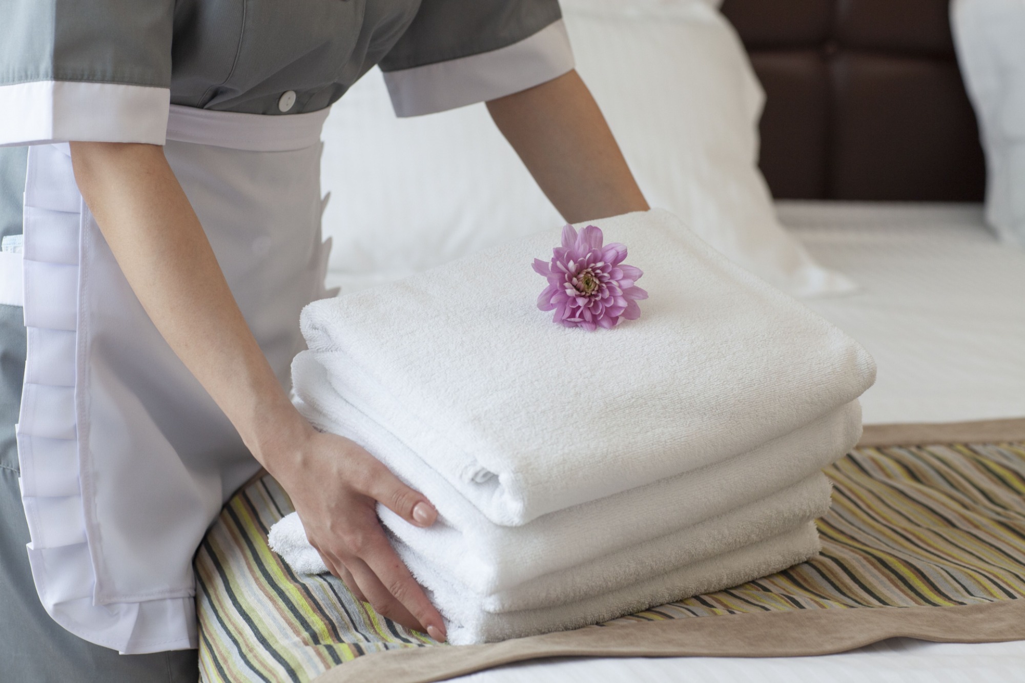 トラストファミリーの求人